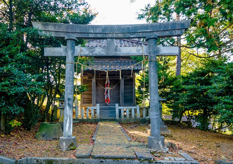 silk shrine silk shrine